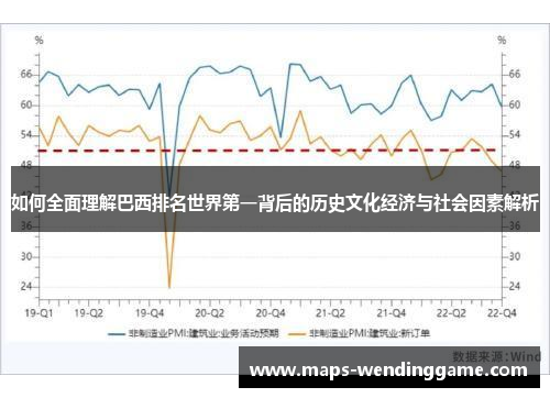 如何全面理解巴西排名世界第一背后的历史文化经济与社会因素解析